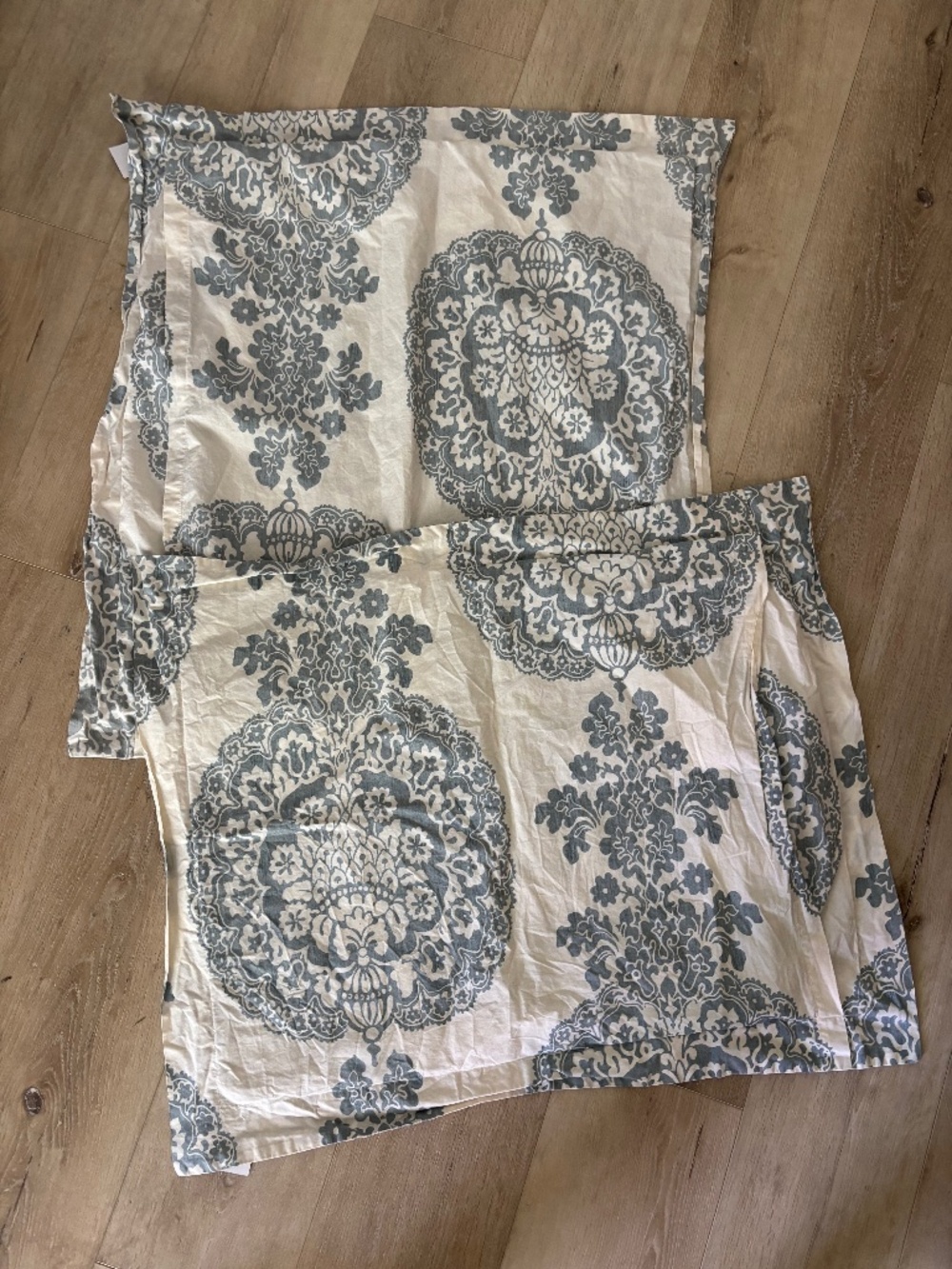 Pottery Barn Lucianna Medallion Standard and Euro shams